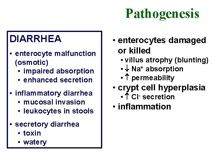 Pathogenesis DIARRHEA • enterocyte malfunction (osmotic) • impaired absorption • enhanced secretion • inflammatory