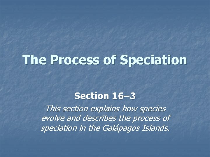 The Process of Speciation Section 16– 3 This section explains how species evolve and