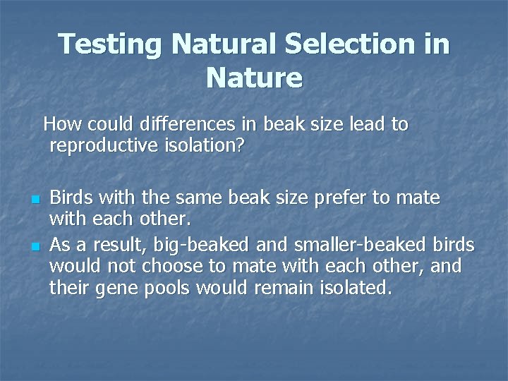 Testing Natural Selection in Nature How could differences in beak size lead to reproductive
