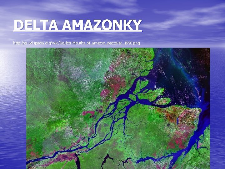 DELTA AMAZONKY http: //cs. wikipedia. org/wiki/Soubor: Mouths_of_amazon_geocover_1990. png 