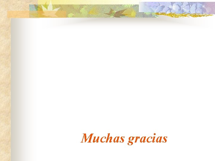 Muchas gracias 