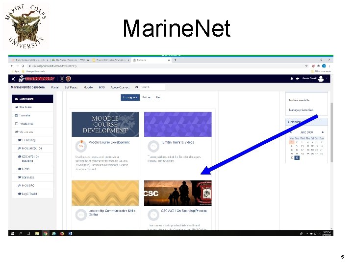 Marine. Net 5 