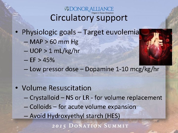 Circulatory support • Physiologic goals – Target euvolemia – MAP > 60 mm Hg