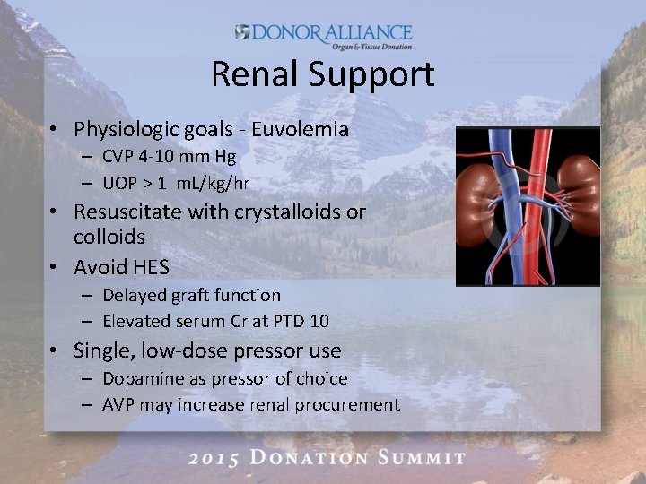 Renal Support • Physiologic goals - Euvolemia – CVP 4 -10 mm Hg –
