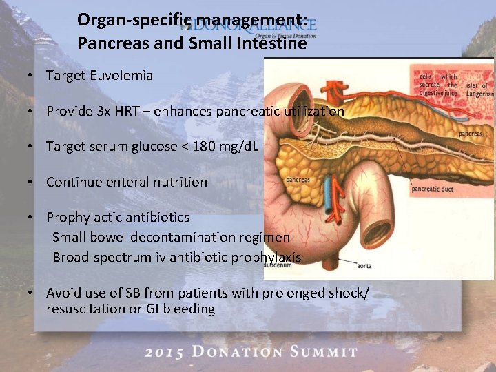 Organ-specific management: Pancreas and Small Intestine • Target Euvolemia • Provide 3 x HRT