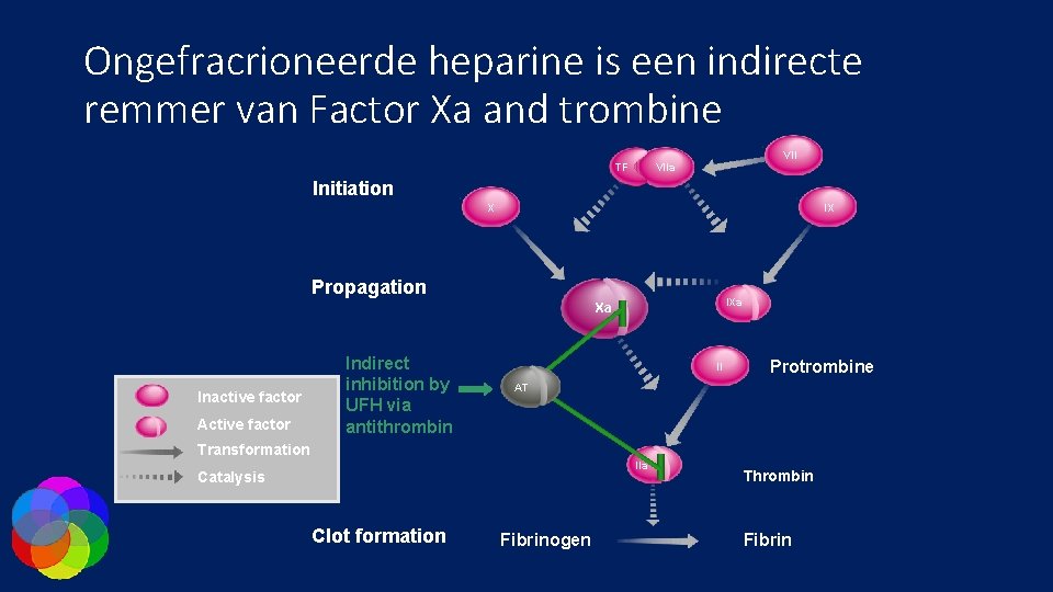 Ongefracrioneerde heparine is een indirecte remmer van Factor Xa and trombine VII TF VIIa