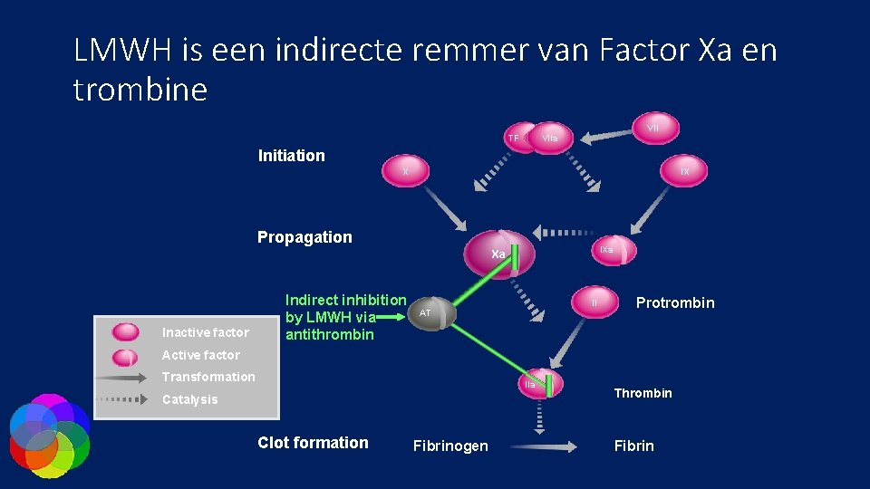 LMWH is een indirecte remmer van Factor Xa en trombine VII TF VIIa Initiation