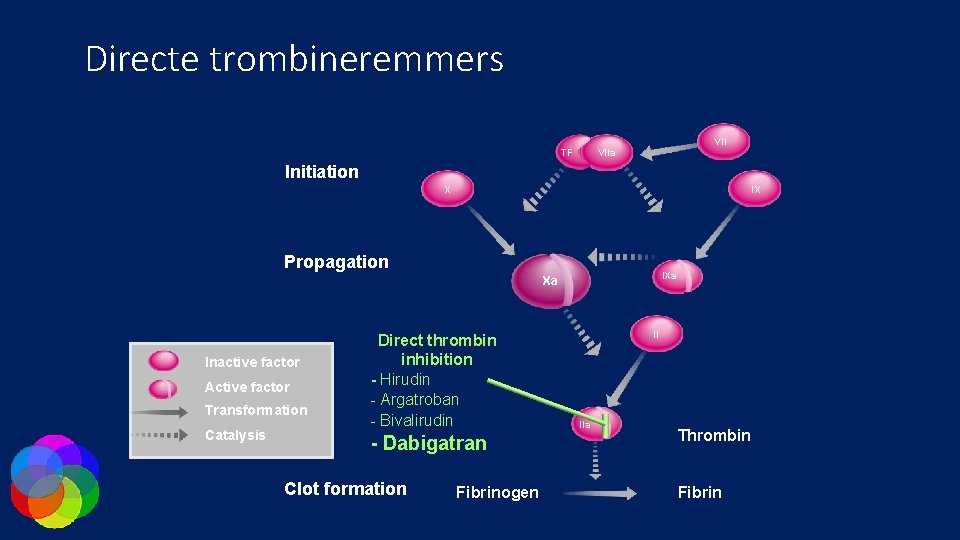 Directe trombineremmers VII TF VIIa Initiation X IX Propagation IXa Xa Inactive factor Active