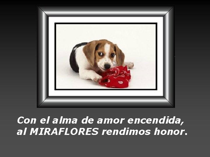 Con el alma de amor encendida, al MIRAFLORES rendimos honor. 