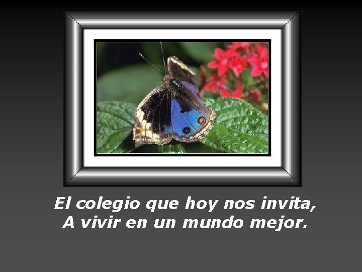 El colegio que hoy nos invita, A vivir en un mundo mejor. 