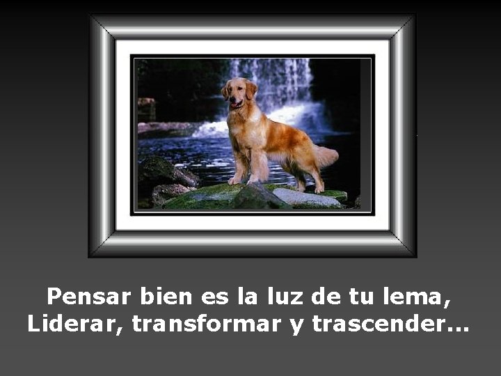 Pensar bien es la luz de tu lema, Liderar, transformar y trascender. . .