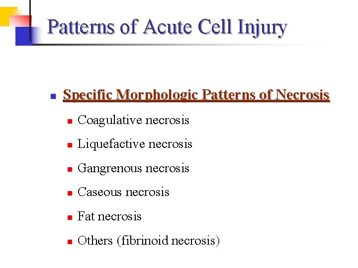 Patterns of Acute Cell Injury n Specific Morphologic Patterns of Necrosis n Coagulative necrosis