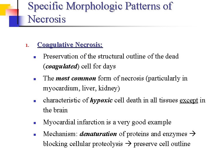 Specific Morphologic Patterns of Necrosis Coagulative Necrosis: 1. n n n Preservation of the
