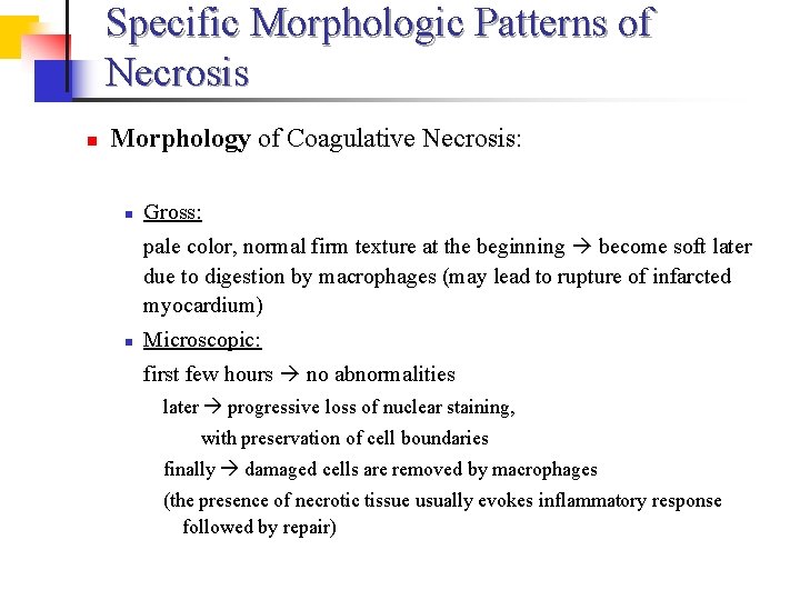 Specific Morphologic Patterns of Necrosis n Morphology of Coagulative Necrosis: n Gross: pale color, Specific Morphologic Patterns of Necrosis n Morphology of Coagulative Necrosis: n Gross: pale color,