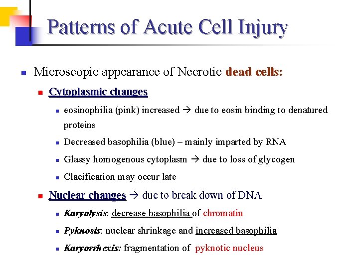 Patterns of Acute Cell Injury n Microscopic appearance of Necrotic dead cells: n Cytoplasmic