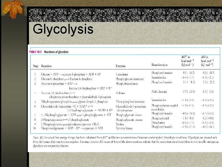 Glycolysis 