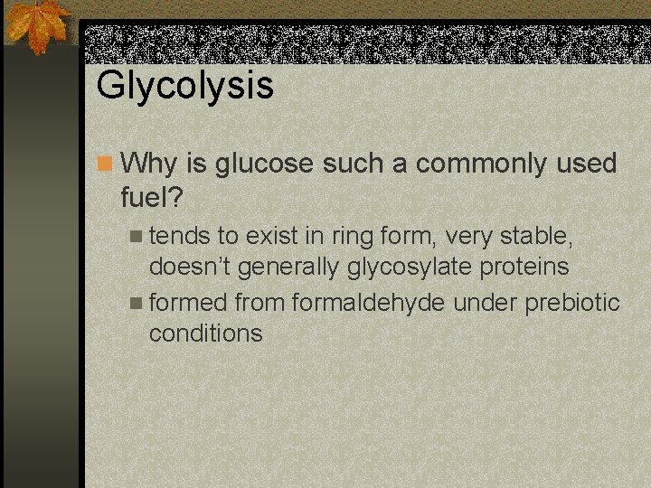 Glycolysis n Why is glucose such a commonly used fuel? n tends to exist