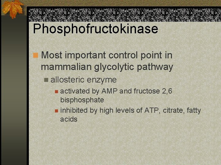 Phosphofructokinase n Most important control point in mammalian glycolytic pathway n allosteric enzyme n