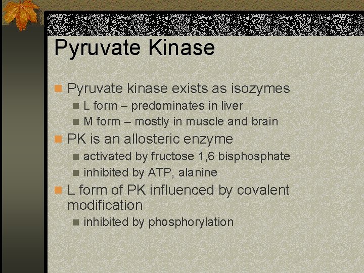 Pyruvate Kinase n Pyruvate kinase exists as isozymes n L form – predominates in