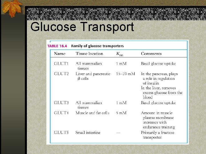 Glucose Transport 