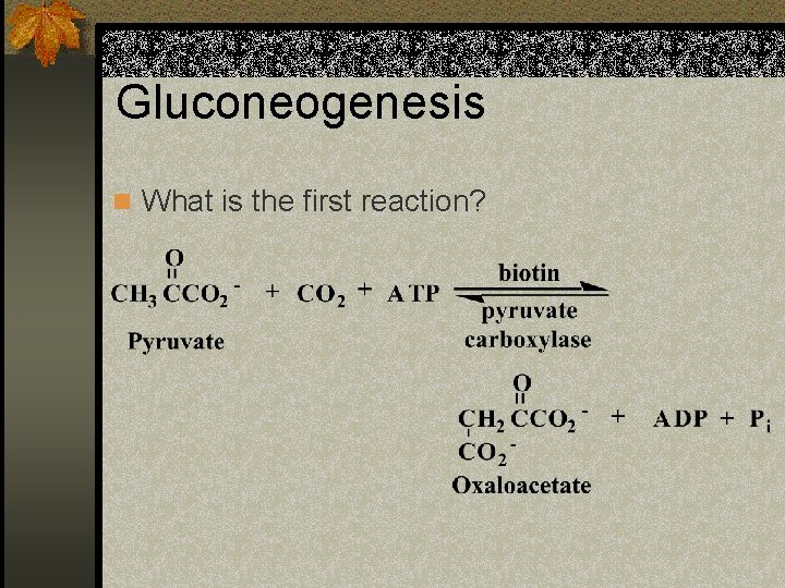 Gluconeogenesis n What is the first reaction? 