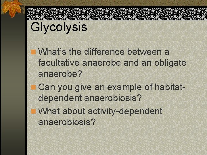 Glycolysis n What’s the difference between a facultative anaerobe and an obligate anaerobe? n