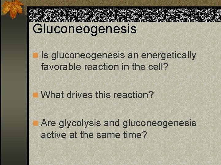 Gluconeogenesis n Is gluconeogenesis an energetically favorable reaction in the cell? n What drives