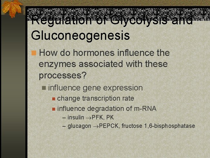 Regulation of Glycolysis and Gluconeogenesis n How do hormones influence the enzymes associated with