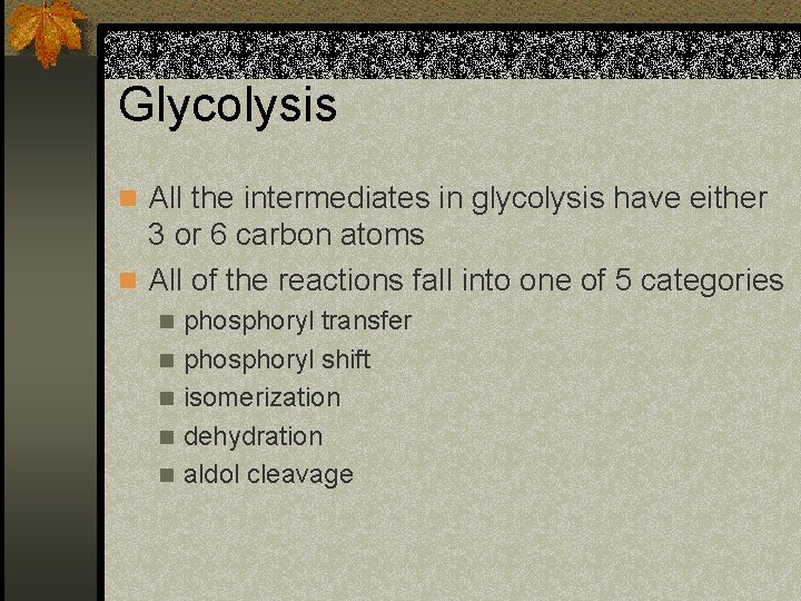 Glycolysis n All the intermediates in glycolysis have either 3 or 6 carbon atoms