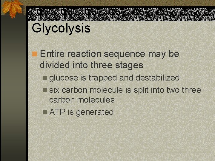 Glycolysis n Entire reaction sequence may be divided into three stages n glucose is