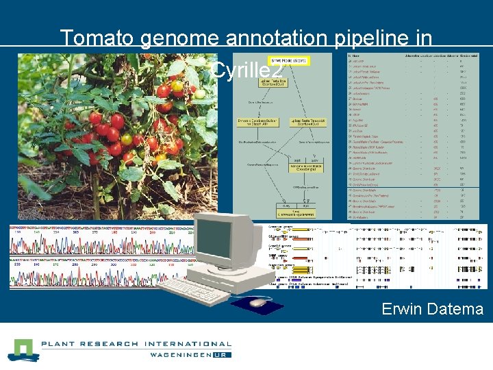 Tomato genome annotation pipeline in Cyrille 2 Erwin Datema 