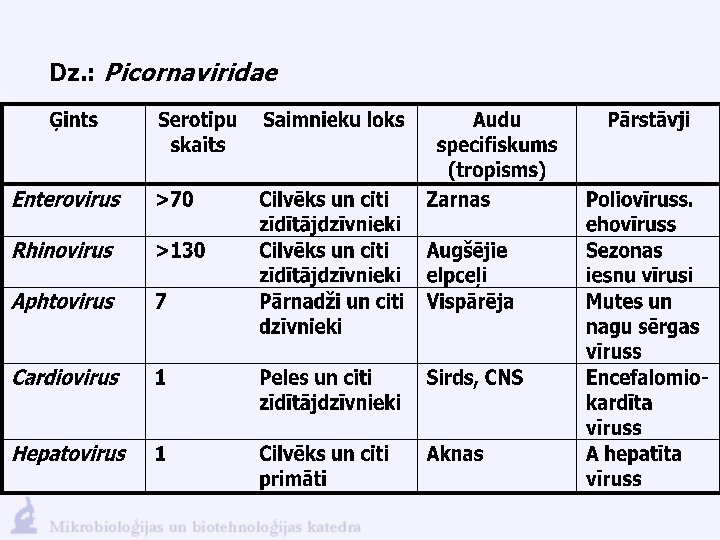 Dz. : Picornaviridae 