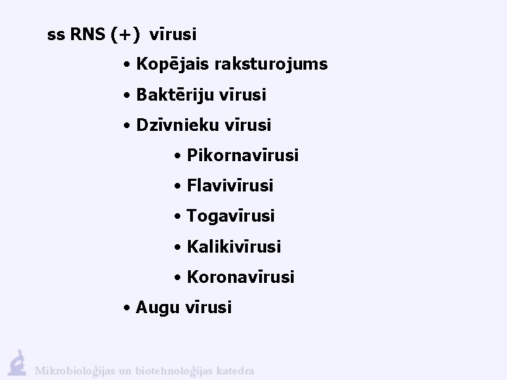 ss RNS (+) vīrusi • Kopējais raksturojums • Baktēriju vīrusi • Dzīvnieku vīrusi •