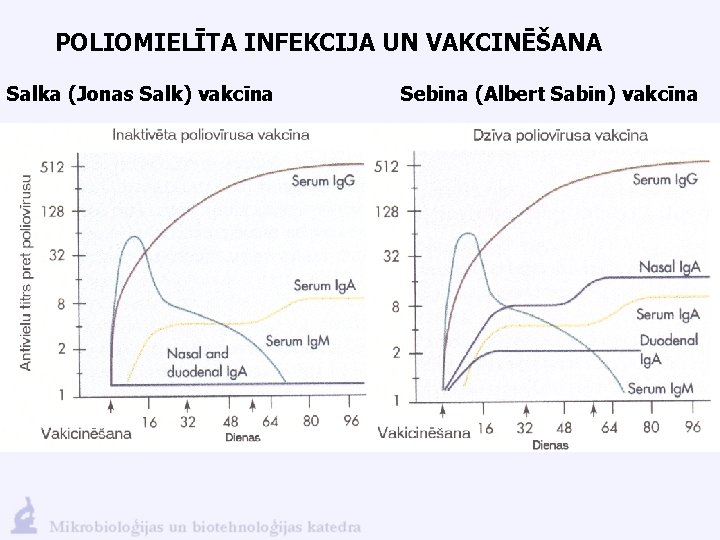 POLIOMIELĪTA INFEKCIJA UN VAKCINĒŠANA Salka (Jonas Salk) vakcīna Sebina (Albert Sabin) vakcīna 