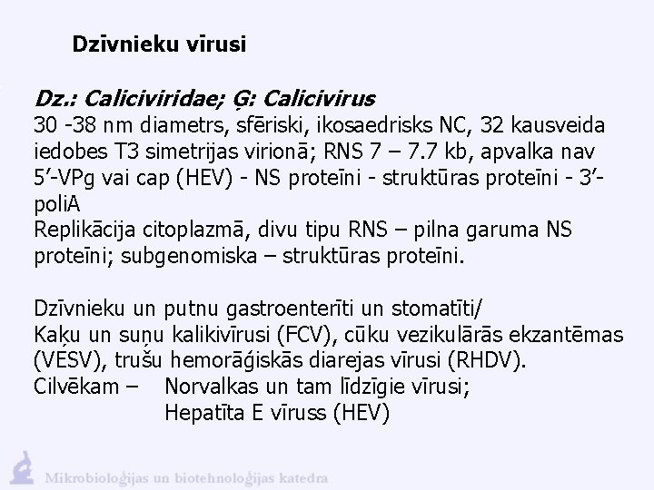 Dzīvnieku vīrusi Dz. : Caliciviridae; Ģ: Calicivirus 30 -38 nm diametrs, sfēriski, ikosaedrisks NC,