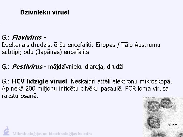 Dzīvnieku vīrusi Ģ. : Flavivirus Dzeltenais drudzis, ērču encefalīti: Eiropas / Tālo Austrumu subtipi;