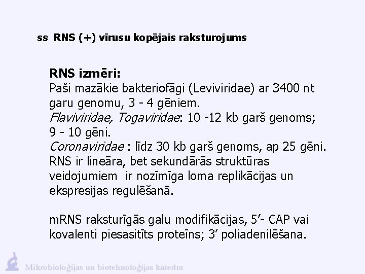 ss RNS (+) vīrusu kopējais raksturojums RNS izmēri: Paši mazākie bakteriofāgi (Leviviridae) ar 3400