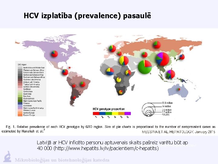 HCV izplatība (prevalence) pasaulē Latvijā ar HCV inficēto personu aptuvenais skaits pašreiz varētu būt