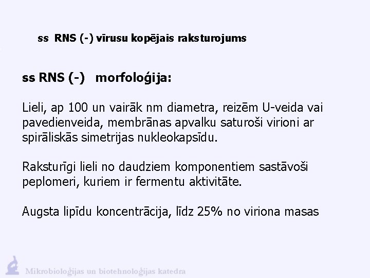 ss RNS (-) vīrusu kopējais raksturojums ss RNS (-) morfoloģija: Lieli, ap 100 un