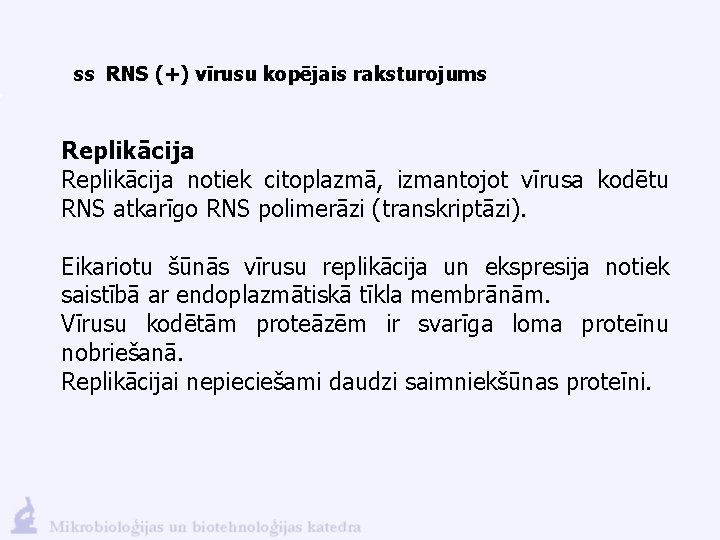 ss RNS (+) vīrusu kopējais raksturojums Replikācija notiek citoplazmā, izmantojot vīrusa kodētu RNS atkarīgo