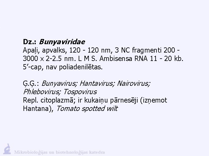 Dz. : Bunyaviridae Apaļi, apvalks, 120 - 120 nm, 3 NC fragmenti 200 -