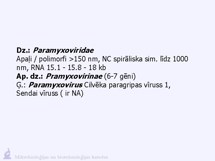 Dz. : Paramyxoviridae Apaļi / polimorfi >150 nm, NC spirāliska sim. līdz 1000 nm,