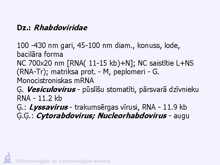 Dz. : Rhabdoviridae 100 -430 nm gari, 45 -100 nm diam. , konuss, lode,