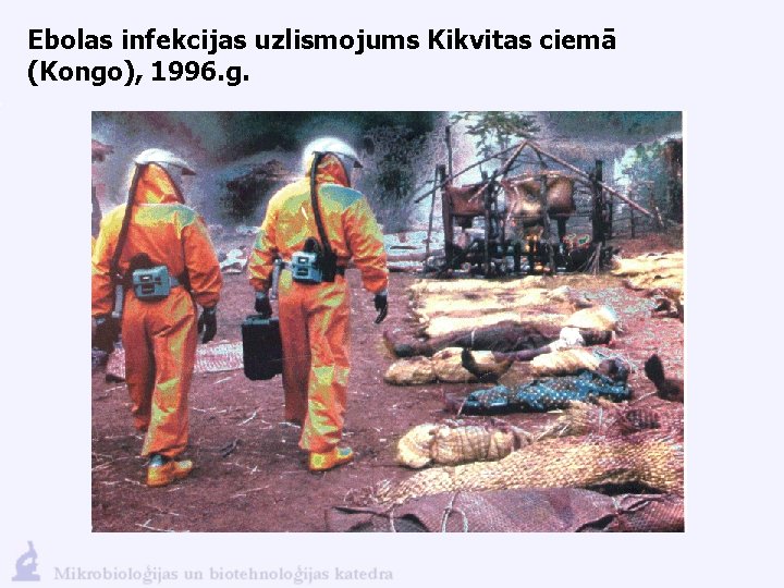 Ebolas infekcijas uzlismojums Kikvitas ciemā (Kongo), 1996. g. 
