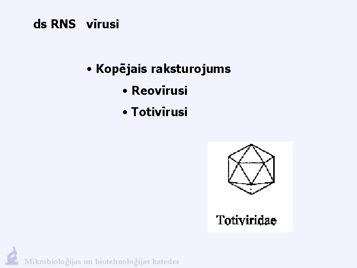 ds RNS vīrusi • Kopējais raksturojums • Reovīrusi • Totivīrusi 