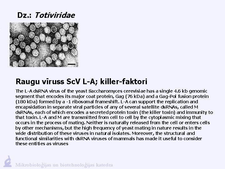 Dz. : Totiviridae Raugu vīruss Sc. V L-A; killer-faktori The L-A ds. RNA virus