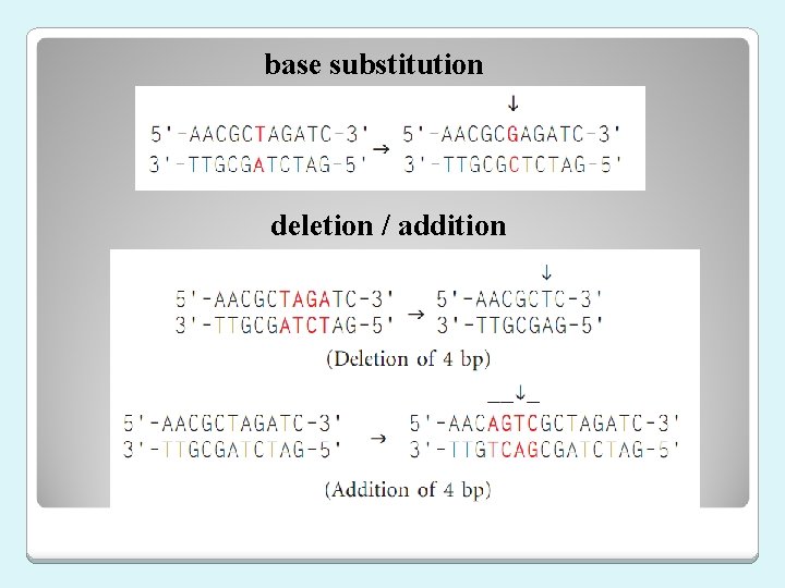 base substitution deletion / addition 