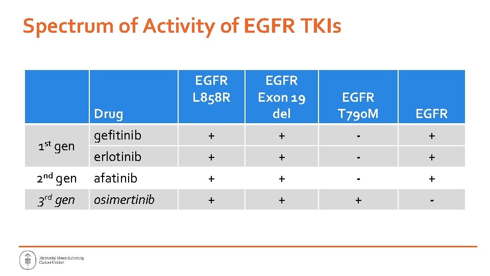 Spectrum of Activity of EGFR TKIs EGFR L 858 R EGFR Exon 19 del Spectrum of Activity of EGFR TKIs EGFR L 858 R EGFR Exon 19 del