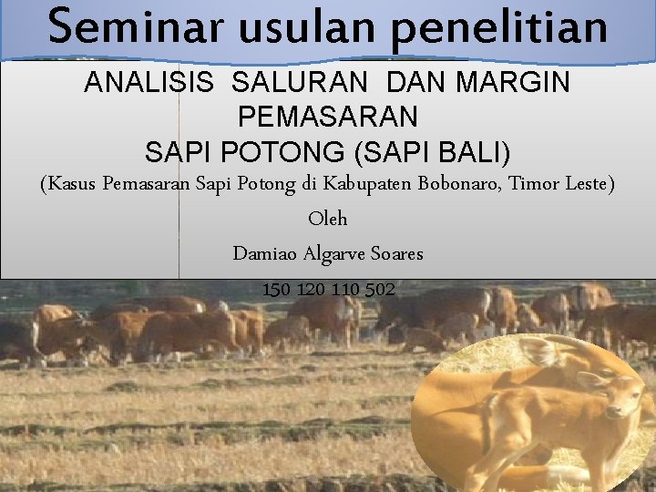 Seminar usulan penelitian ANALISIS SALURAN DAN MARGIN PEMASARAN SAPI POTONG (SAPI BALI) (Kasus Pemasaran