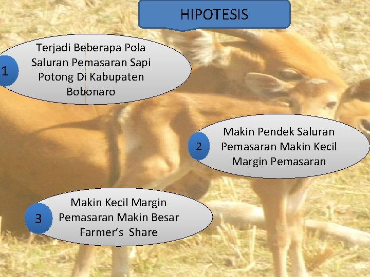 HIPOTESIS 1 Terjadi Beberapa Pola Saluran Pemasaran Sapi Potong Di Kabupaten Bobonaro 2 3